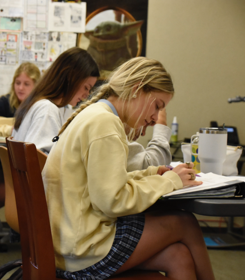 Junior Julia Jabbour works hard in Ms. Caroline Goodmans AP English Language and Composition class. Students at high-achieving schools often feel driven to take many advanced classes.