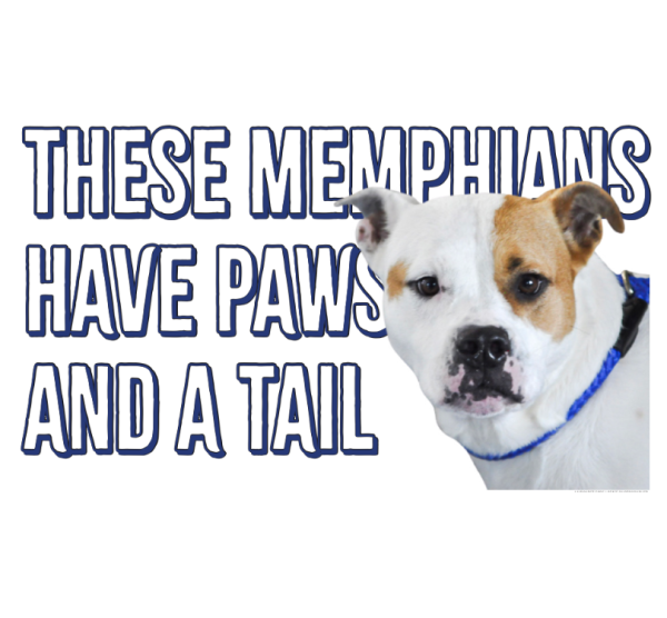 Memphis is home to over 618,639 people and all of their pets. 