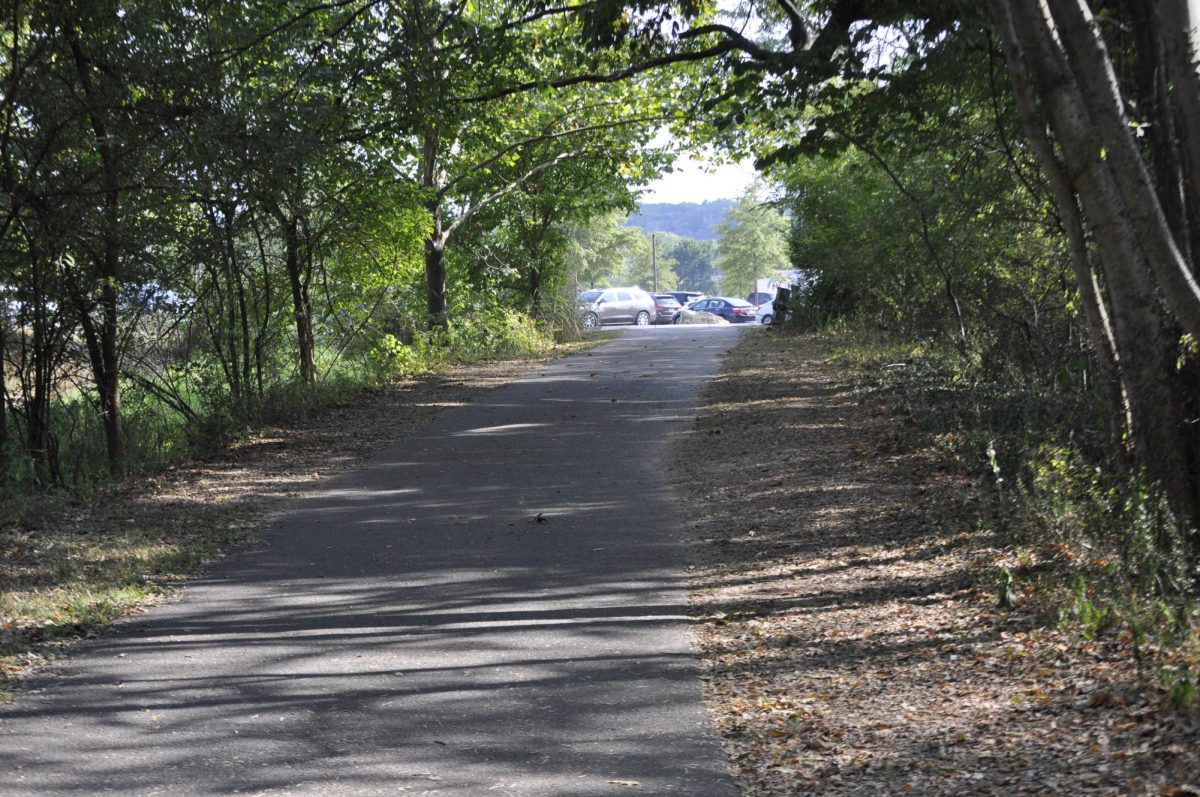 The Shelby Farms Greenline stretches through Shelby Farms Park, a free third space in Memphis. 