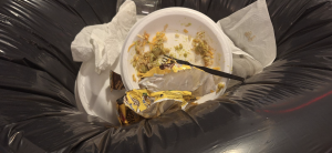 Plates of food and other trash were thrown away after Upper School lunch. 