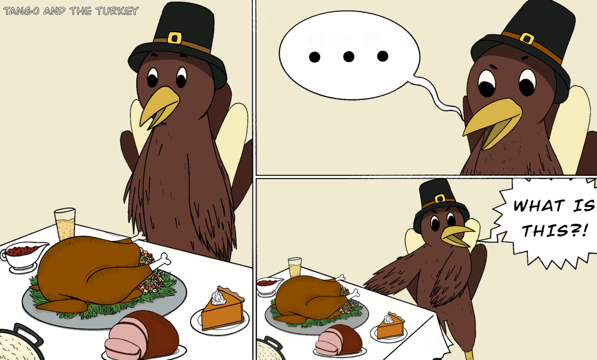 Turkey Day with Tango the Turkey