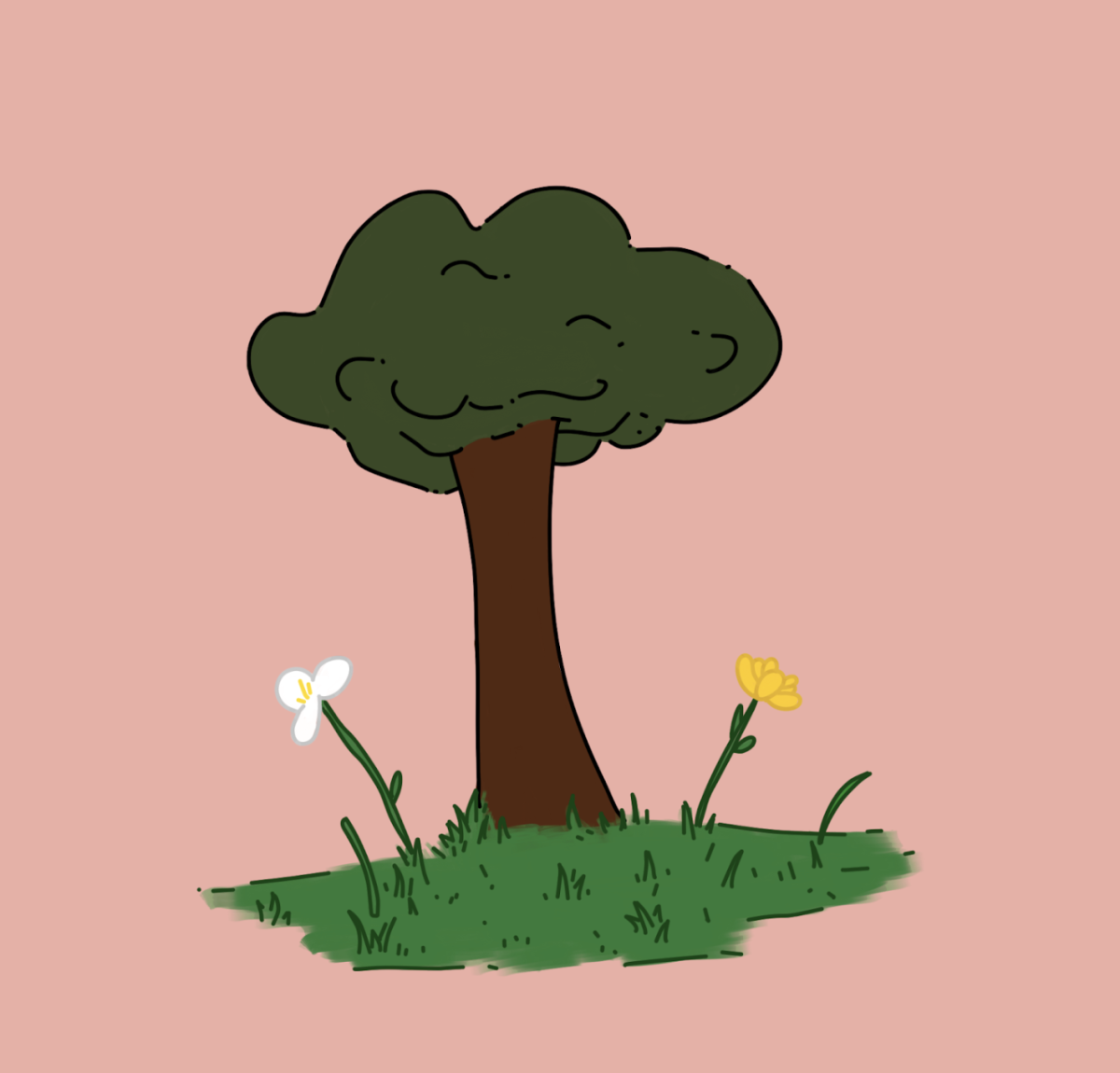 Seventh Place: Nature